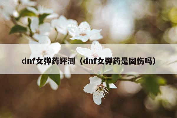 dnf女弹药评测（dnf女弹药是固伤吗）