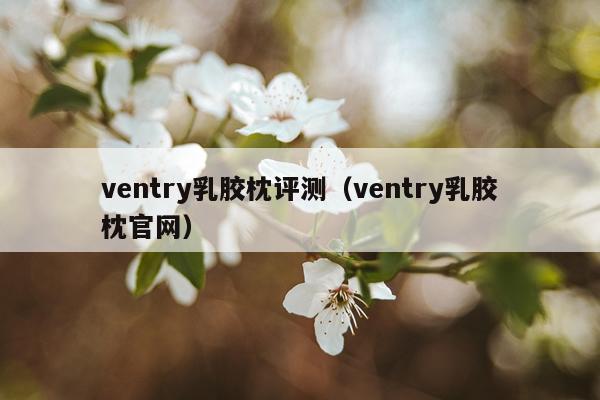 ventry乳胶枕评测（ventry乳胶枕官网）