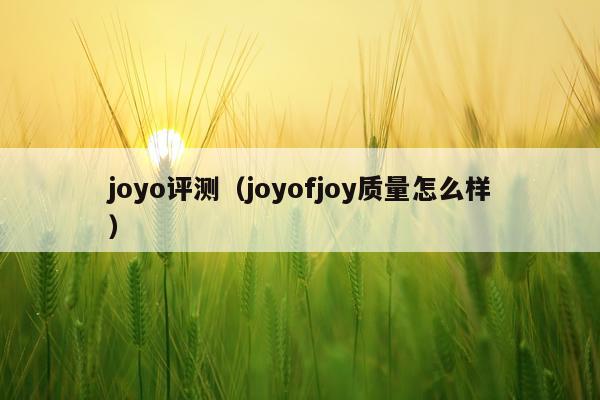 joyo评测（joyofjoy质量怎么样）