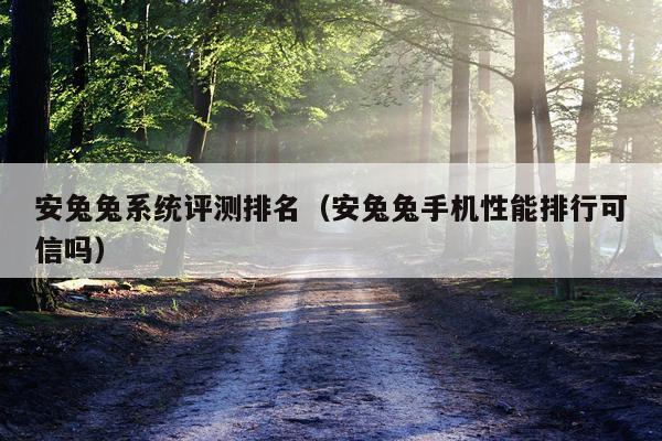 安兔兔系统评测排名（安兔兔手机性能排行可信吗）