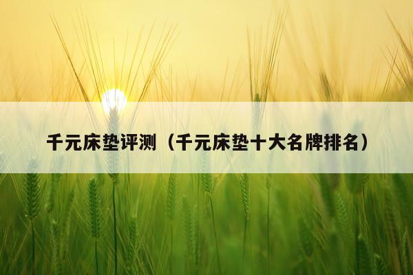千元床垫评测（千元床垫十大名牌排名）