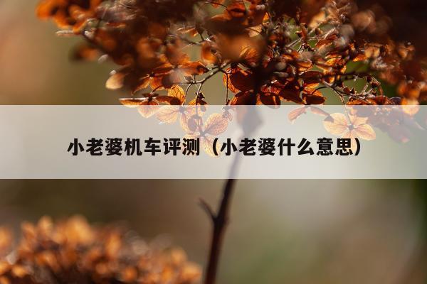 小老婆机车评测（小老婆什么意思）