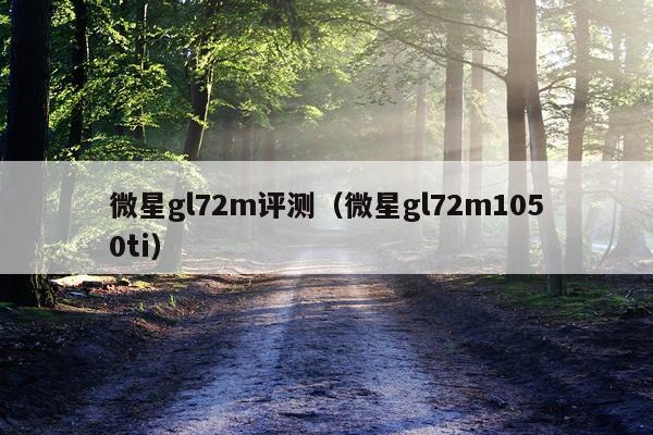 微星gl72m评测（微星gl72m1050ti）