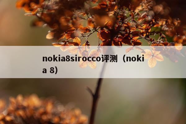nokia8sirocco评测（nokia 8）