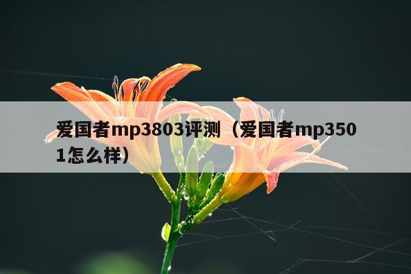 爱国者mp3803评测（爱国者mp3501怎么样）