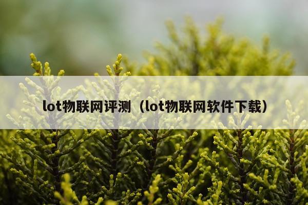 lot物联网评测（lot物联网软件下载）