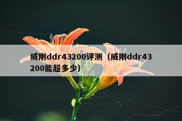 威刚ddr43200评测（威刚ddr43200能超多少）