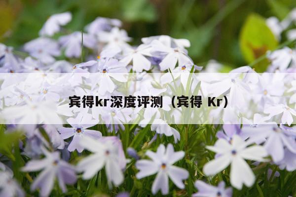宾得kr深度评测（宾得 Kr）