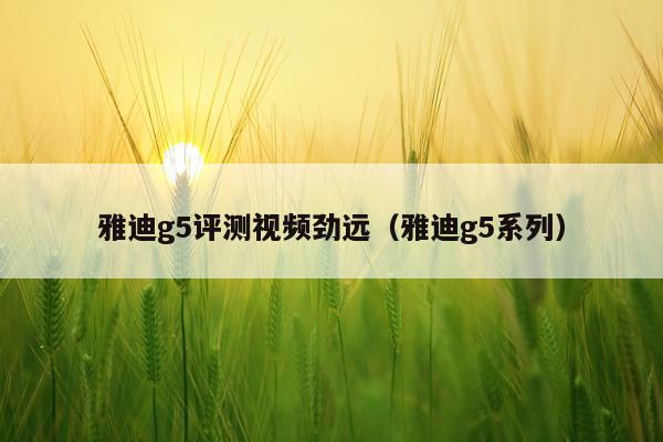 雅迪g5评测视频劲远（雅迪g5系列）