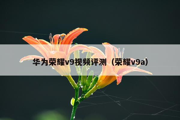 华为荣耀v9视频评测（荣耀v9a）