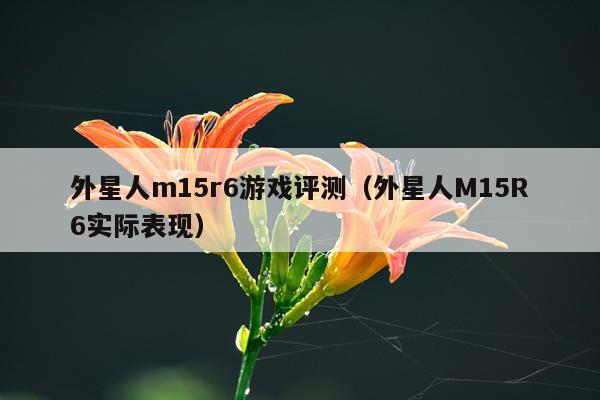 外星人m15r6游戏评测（外星人M15R6实际表现）