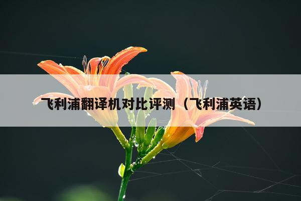 飞利浦翻译机对比评测（飞利浦英语）