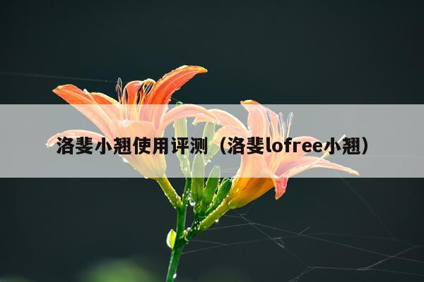 洛斐小翘使用评测（洛斐lofree小翘）
