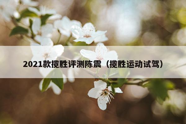 2021款揽胜评测陈震（揽胜运动试驾）
