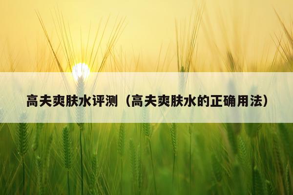 高夫爽肤水评测（高夫爽肤水的正确用法）
