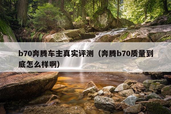 b70奔腾车主真实评测（奔腾b70质量到底怎么样啊）