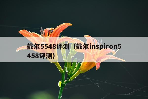 戴尔5548评测（戴尔inspiron5458评测）