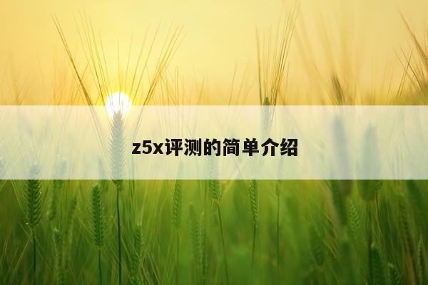 z5x评测的简单介绍