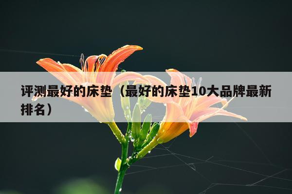 评测最好的床垫（最好的床垫10大品牌最新排名）