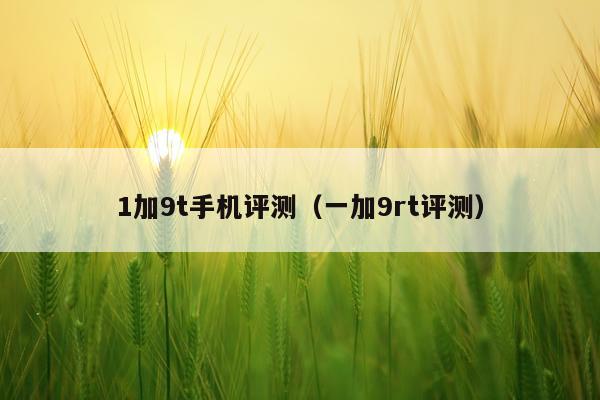 1加9t手机评测（一加9rt评测）