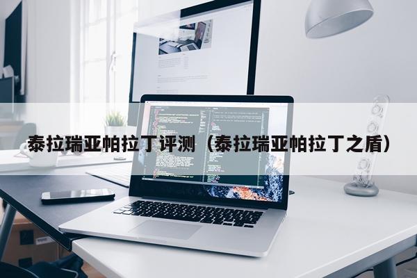 泰拉瑞亚帕拉丁评测（泰拉瑞亚帕拉丁之盾）