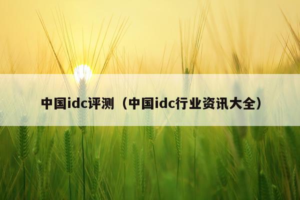 中国idc评测（中国idc行业资讯大全）
