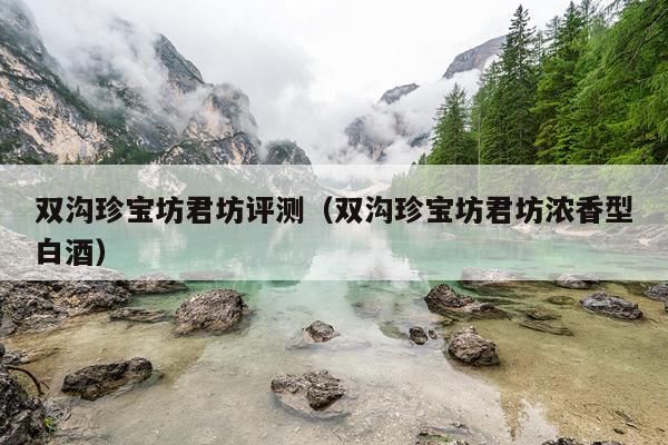 双沟珍宝坊君坊评测（双沟珍宝坊君坊浓香型白酒）