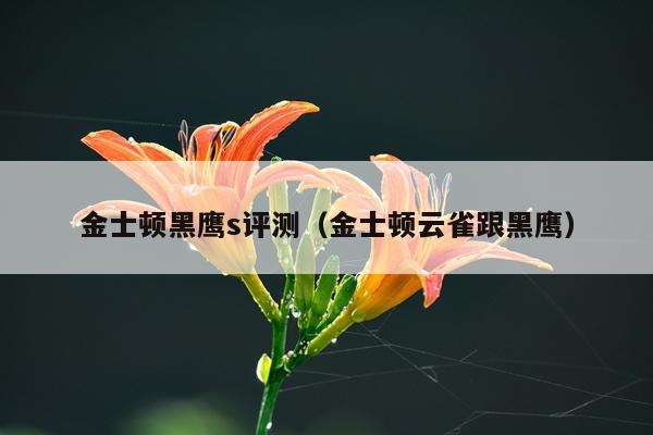 金士顿黑鹰s评测（金士顿云雀跟黑鹰）
