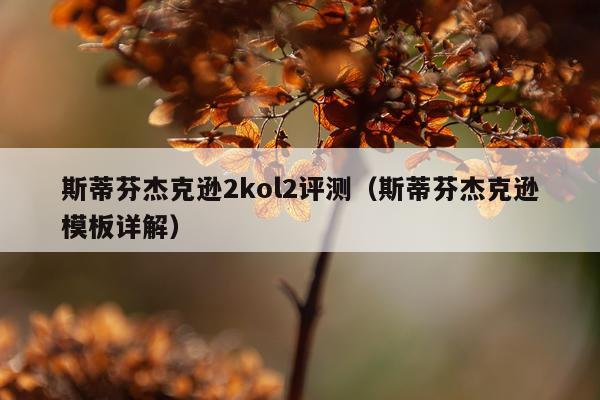 斯蒂芬杰克逊2kol2评测（斯蒂芬杰克逊模板详解）