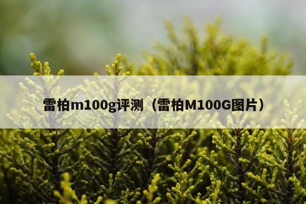 雷柏m100g评测（雷柏M100G图片）