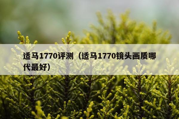 适马1770评测（适马1770镜头画质哪代最好）