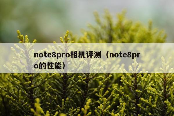 note8pro相机评测（note8pro的性能）