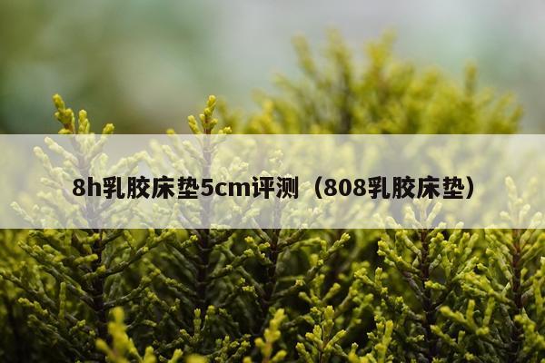 8h乳胶床垫5cm评测（808乳胶床垫）