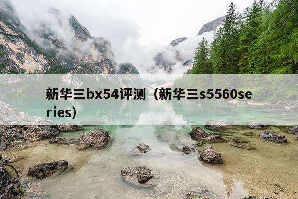 新华三bx54评测（新华三s5560series）