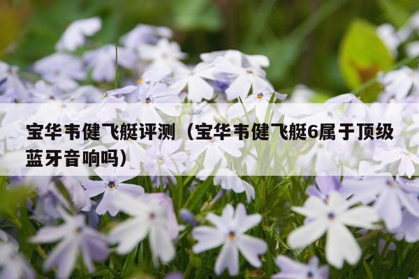 宝华韦健飞艇评测（宝华韦健飞艇6属于顶级蓝牙音响吗）