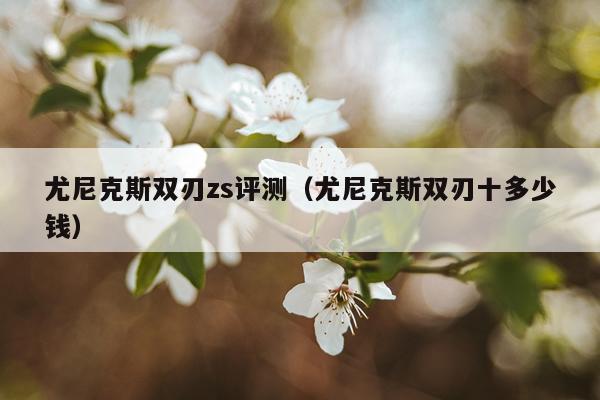 尤尼克斯双刃zs评测（尤尼克斯双刃十多少钱）