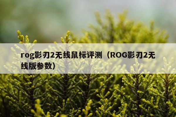 rog影刃2无线鼠标评测（ROG影刃2无线版参数）