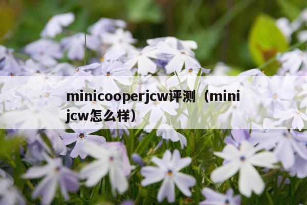 minicooperjcw评测（minijcw怎么样）