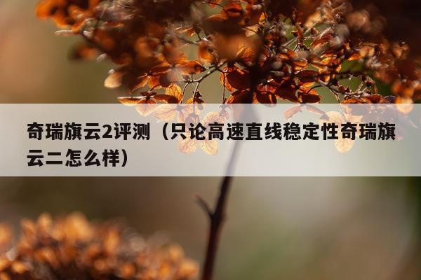 奇瑞旗云2评测（只论高速直线稳定性奇瑞旗云二怎么样）