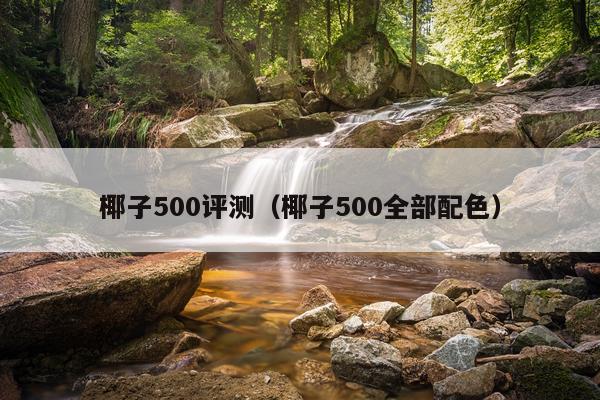 椰子500评测（椰子500全部配色）