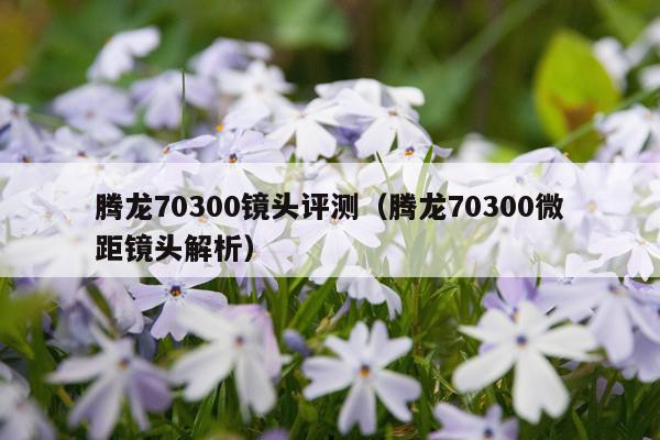 腾龙70300镜头评测（腾龙70300微距镜头解析）
