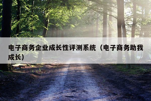 电子商务企业成长性评测系统（电子商务助我成长）