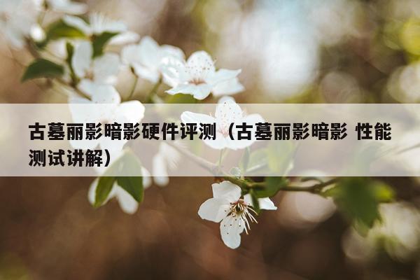 古墓丽影暗影硬件评测（古墓丽影暗影 性能测试讲解）