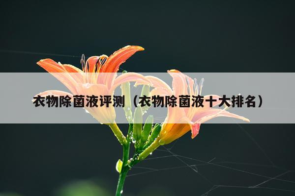 衣物除菌液评测（衣物除菌液十大排名）