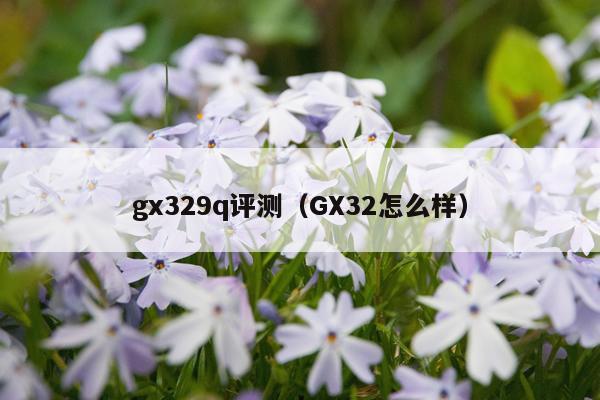 gx329q评测（GX32怎么样）