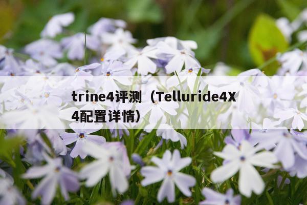 trine4评测（Telluride4X4配置详情）