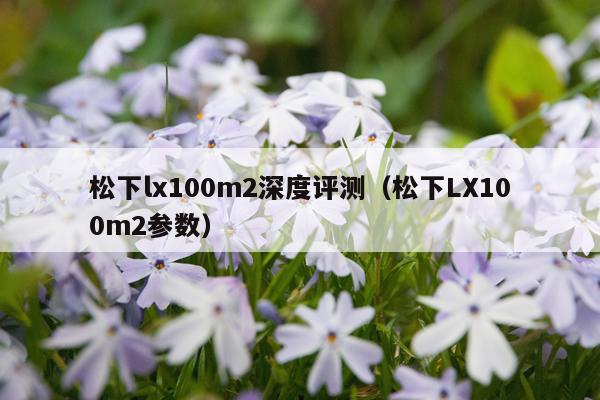 松下lx100m2深度评测（松下LX100m2参数）