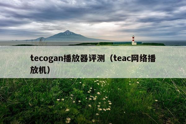 tecogan播放器评测（teac网络播放机）