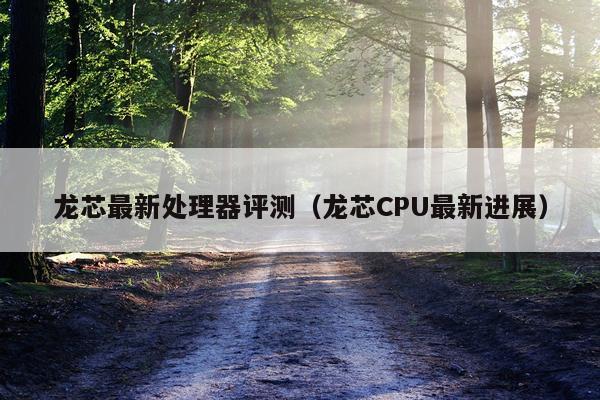 龙芯最新处理器评测（龙芯CPU最新进展）