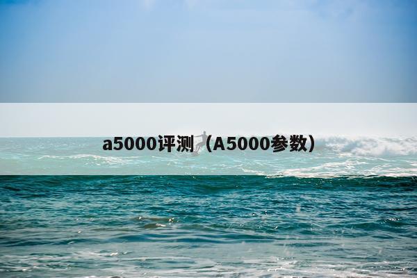 a5000评测（A5000参数）